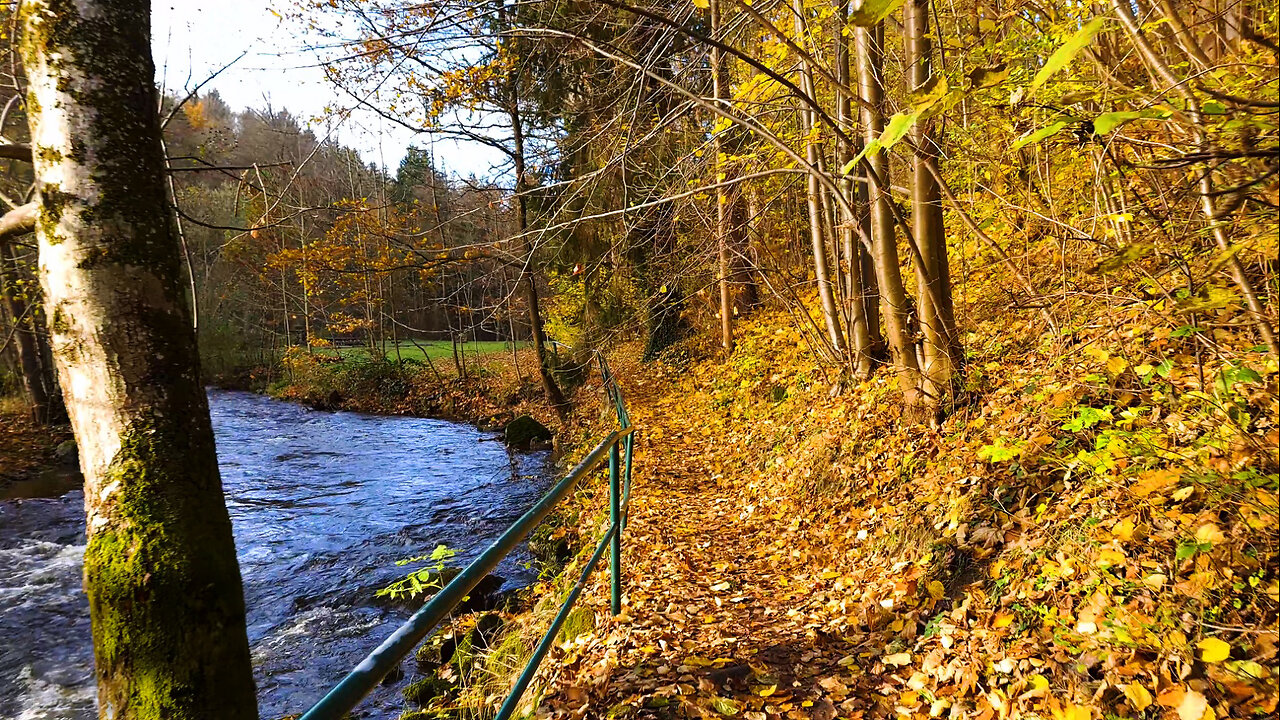 River Valley In Autumn - ASMR Relaxing Virtual Forest Walk Nature Sounds No Music