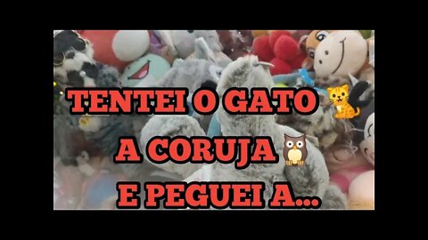 QUERIA O GATO 🐈 OU A CORUJA 🦉 ELETRÔNICA E ACABEI PEGANDO UMA😱😱😱