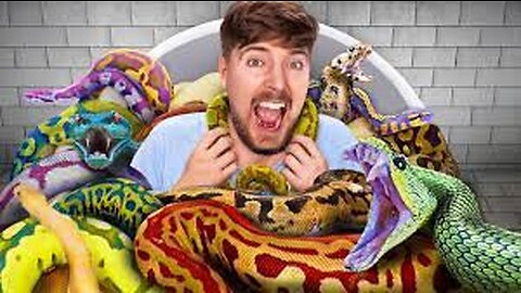 Mr.Beast Snake Challenge