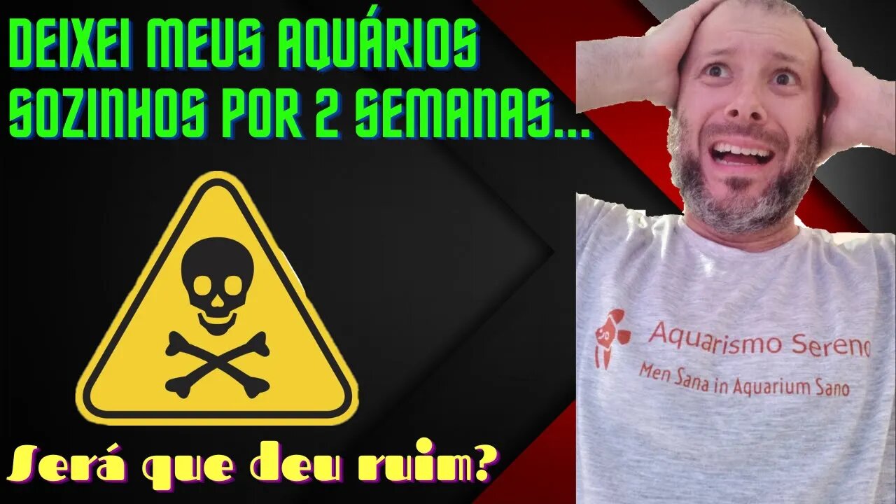 š“ Como Meus AquĆ”rios Ficaram Após 2 Semanas Sem NinguĆ©m Por Perto