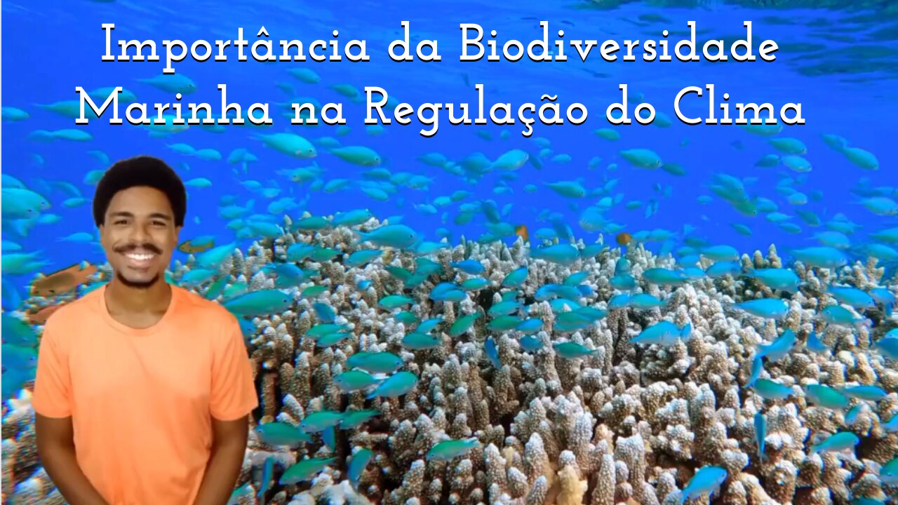 A Importância da Biodiversidade Marinha na Regulação do Clima