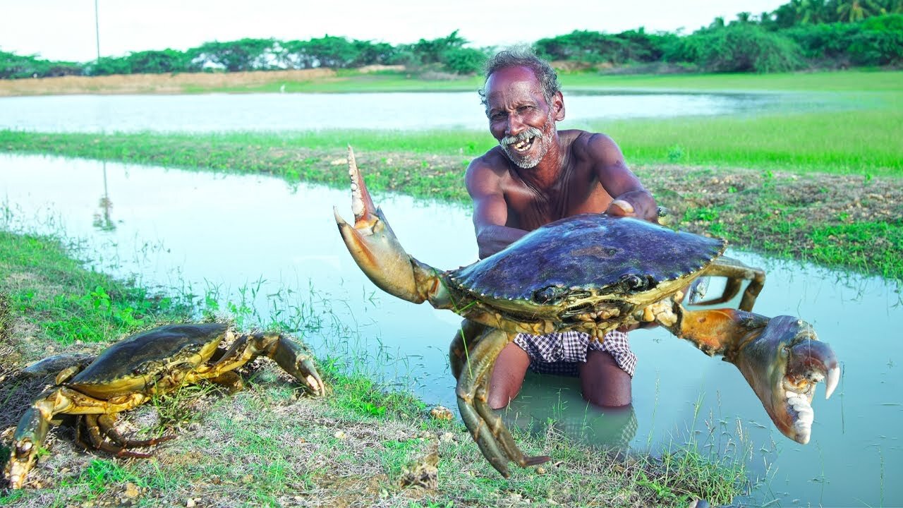 GIANT MUD CRABS COOKING | Delicious Grabs Omblate Recipe | Village Grandpa show