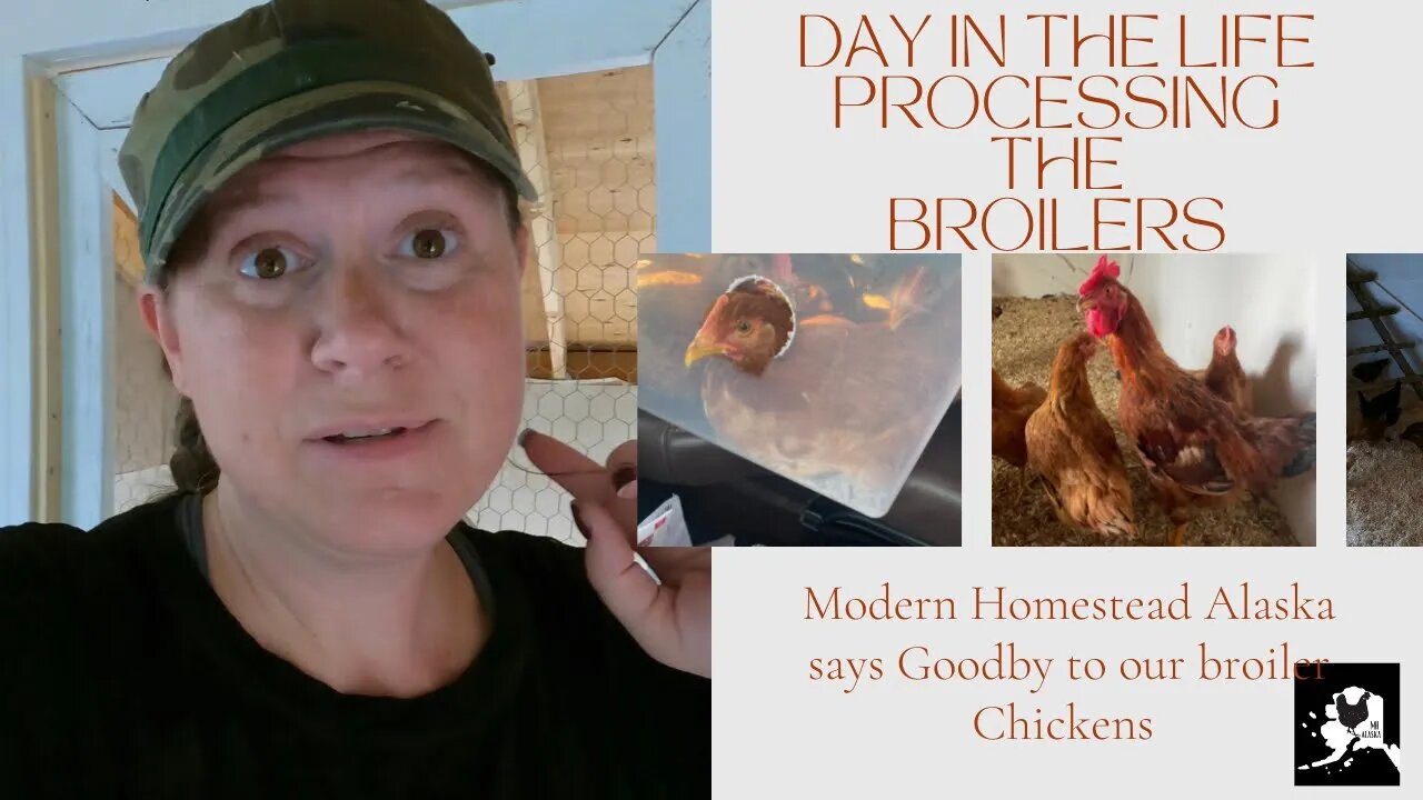 Chicken Processing Day on our modern homestead | our first 25 Broiler Chickens go in to be processed