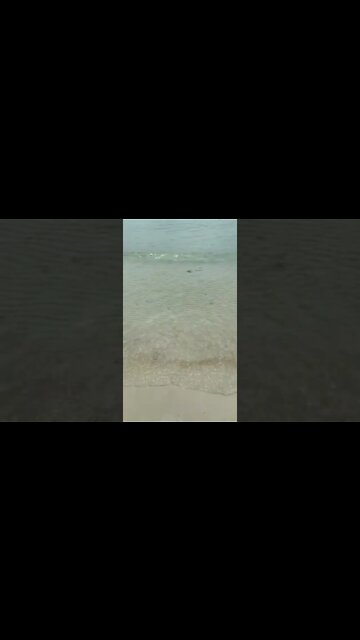 Best Relaxing Sound & Videos | Sea Waves | #shorts