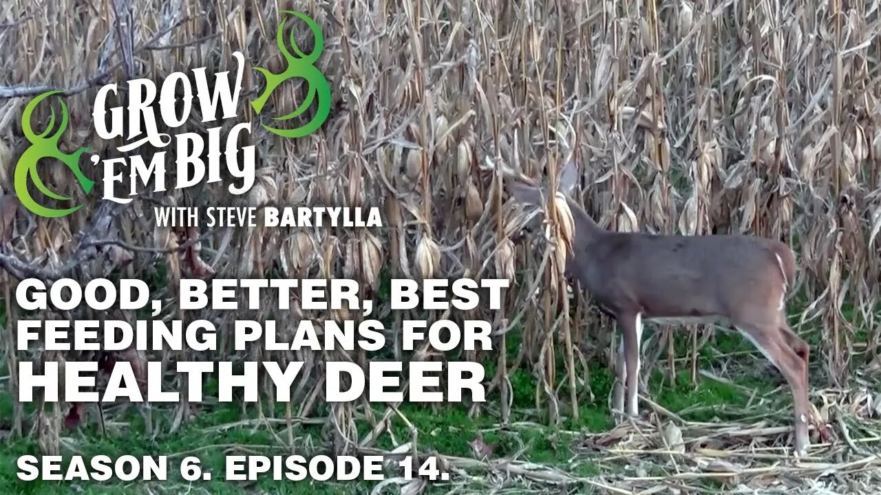 Good, Better, Best Feeding Plans for Healthy Deer