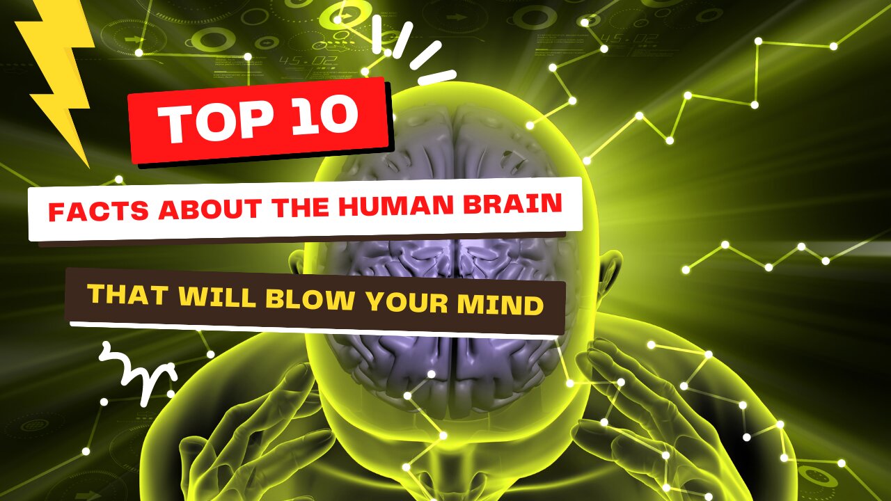 Top 10 Facts About the Human Brain That Will Blow Your Mind