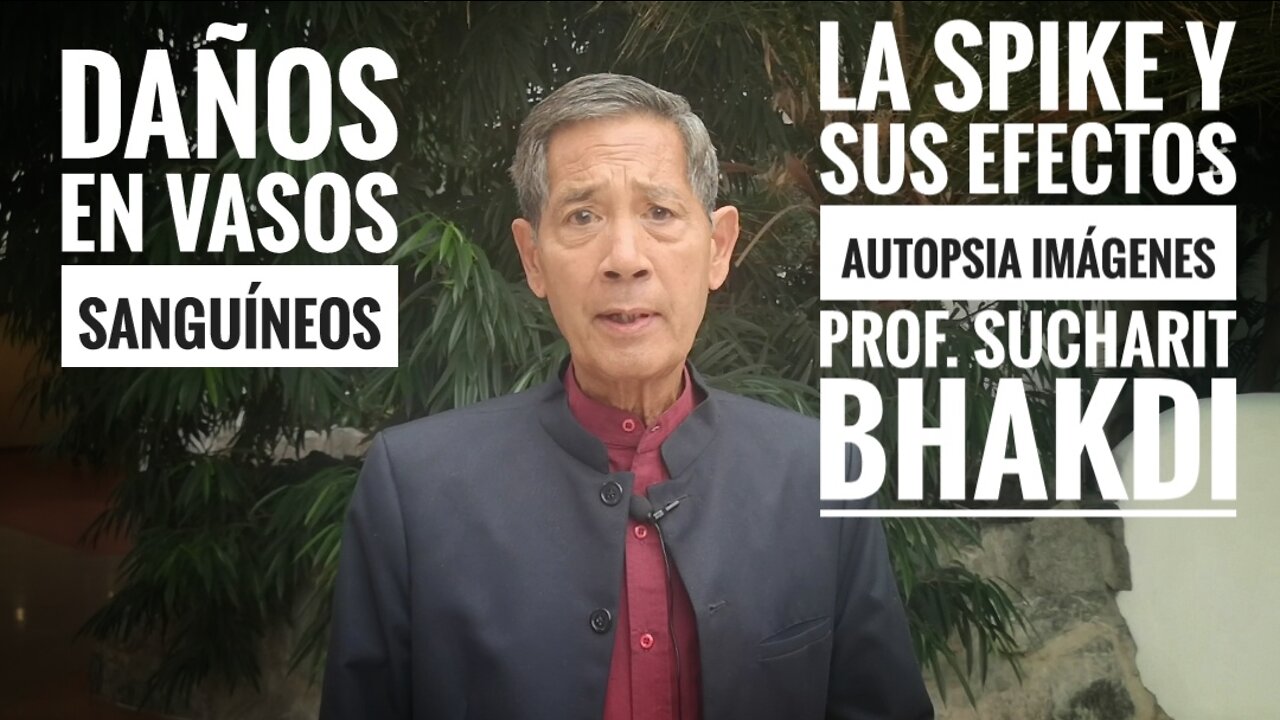 IMÁGENES DE PROTEÍNA SPIKE EN PEQUEÑOS VASOS SANGUÍNEOS DEL MIOCARDIO