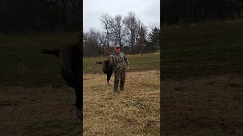 Missouri Turkey 2022