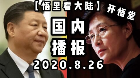 【悟里看大陆】2020 8 26国内播报/开悟堂