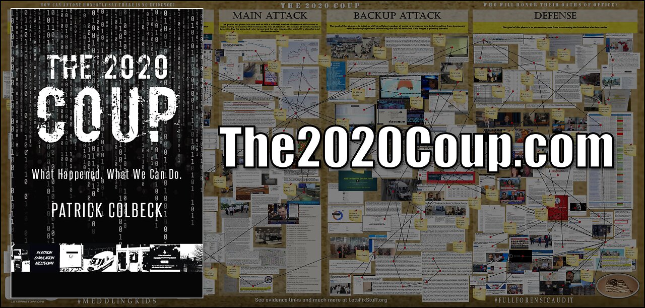 The 2020 Coup: What Happened. What We Can Do.