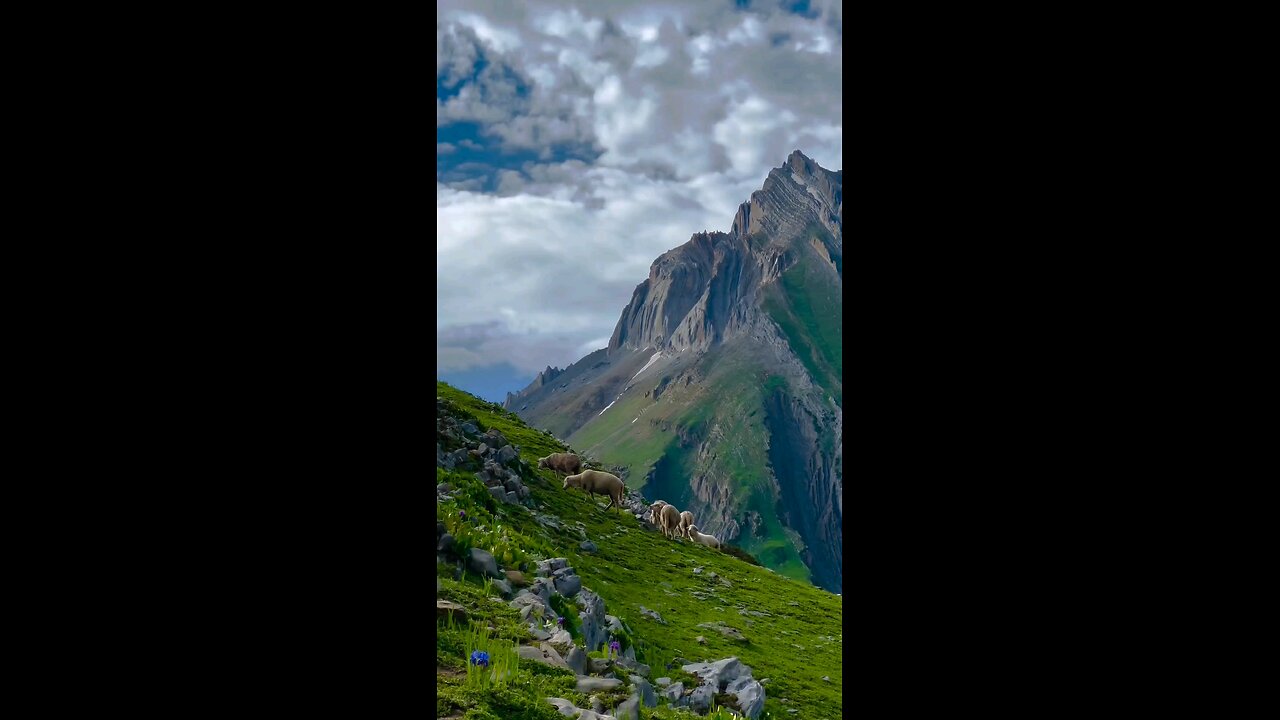 video