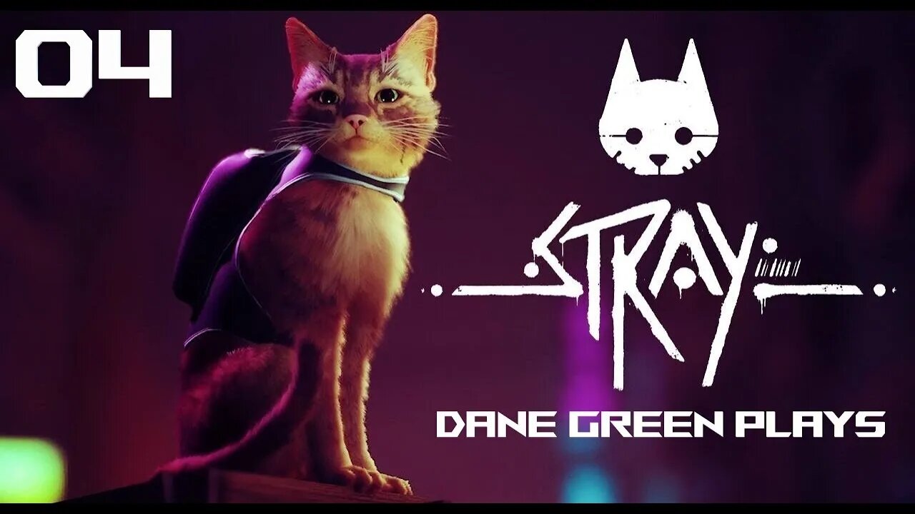 Dane Green Plays Stray Part 04