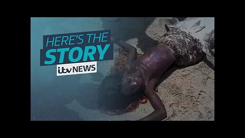 The mermaid sighting video that's dividing opinion on Tikka _ ITV News