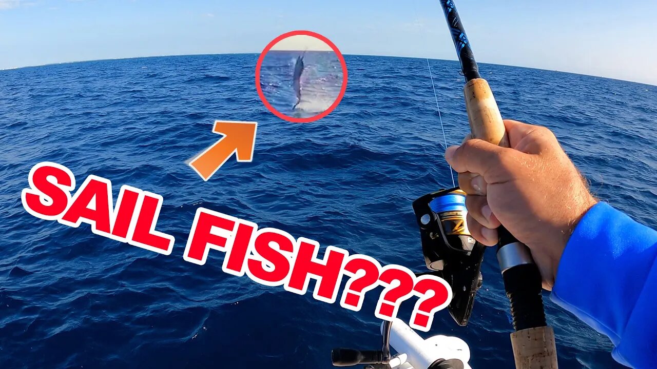 Key Largo Fishing - You Won't Believe What We Caught!