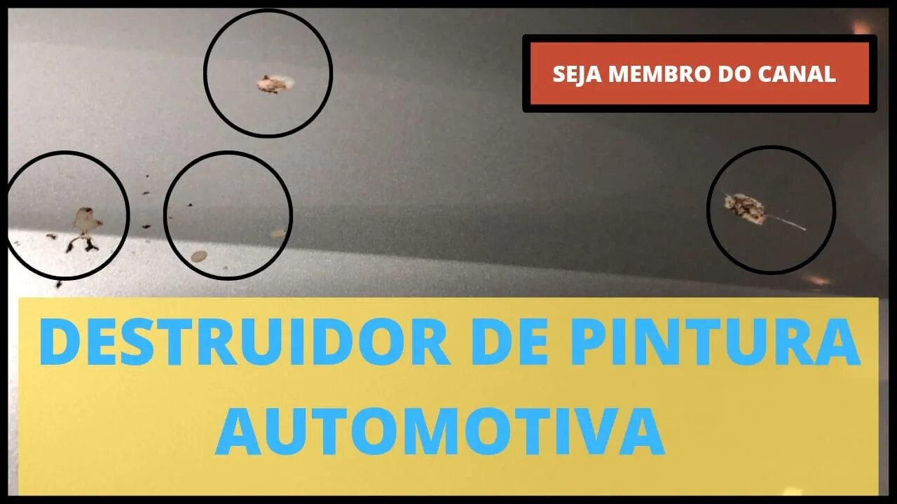 Dica simples que pode ajudar a sua pintura do carro ter uma vida mais longa!