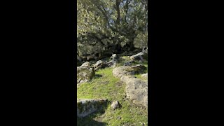 Volvon (Native American) Village Site