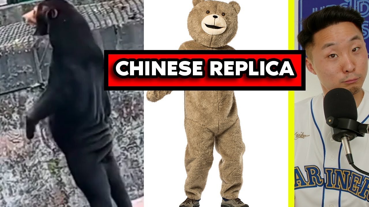 China DENIES Allegation of Fake Human Bears at Zoo