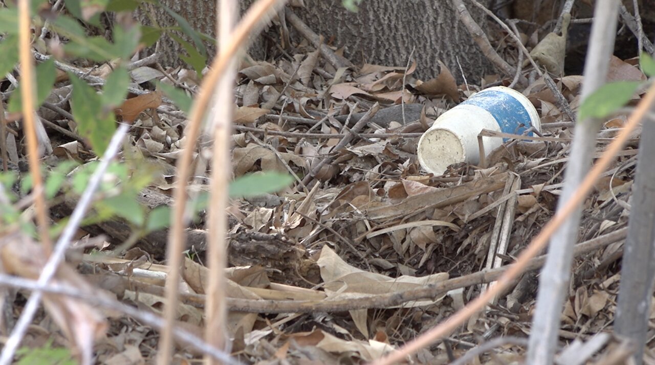 SDSU researching where river debris originates and how it moves to ocean