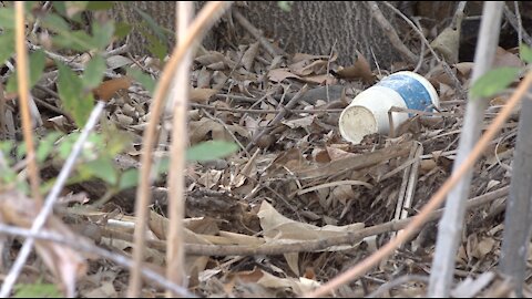 SDSU researching where river debris originates and how it moves to ocean