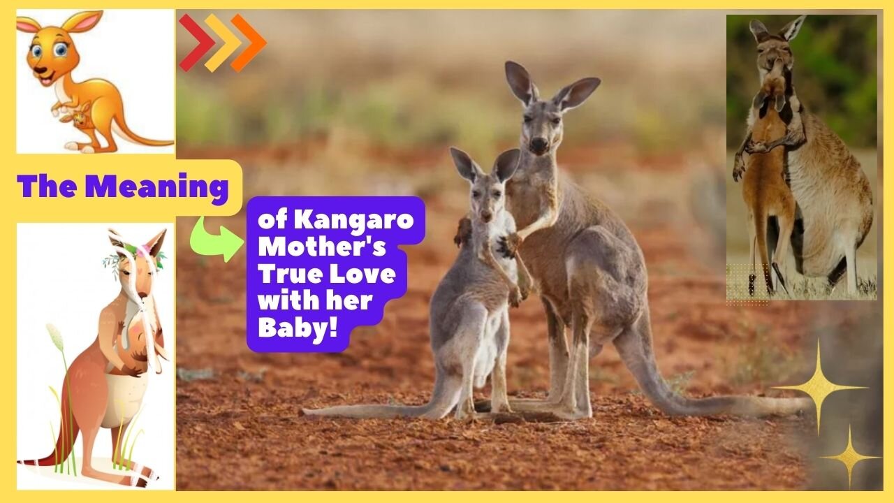 THE MEANING OF MOTHER’S TRUE LOVE - MOTHER KANGAROO HUGGING HER BABY