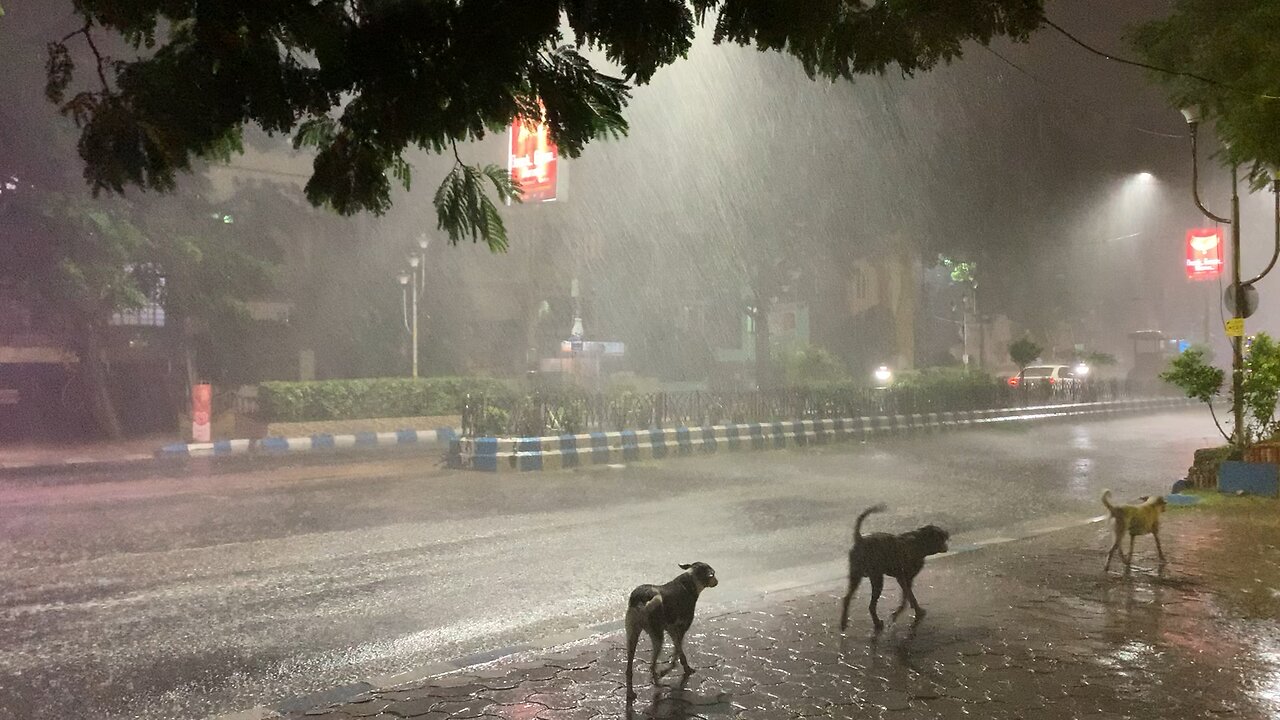 A perfect rainy day ￼🌧️