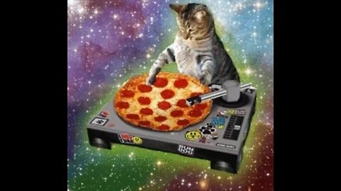 Pizza cat