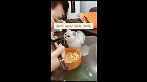 Funny And cute baby video