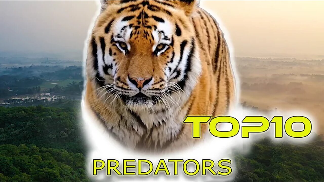 Top 10 predators in the world