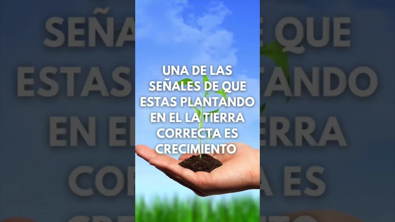 ESTÁS PLANTADO EN LUGAR CORRECTO