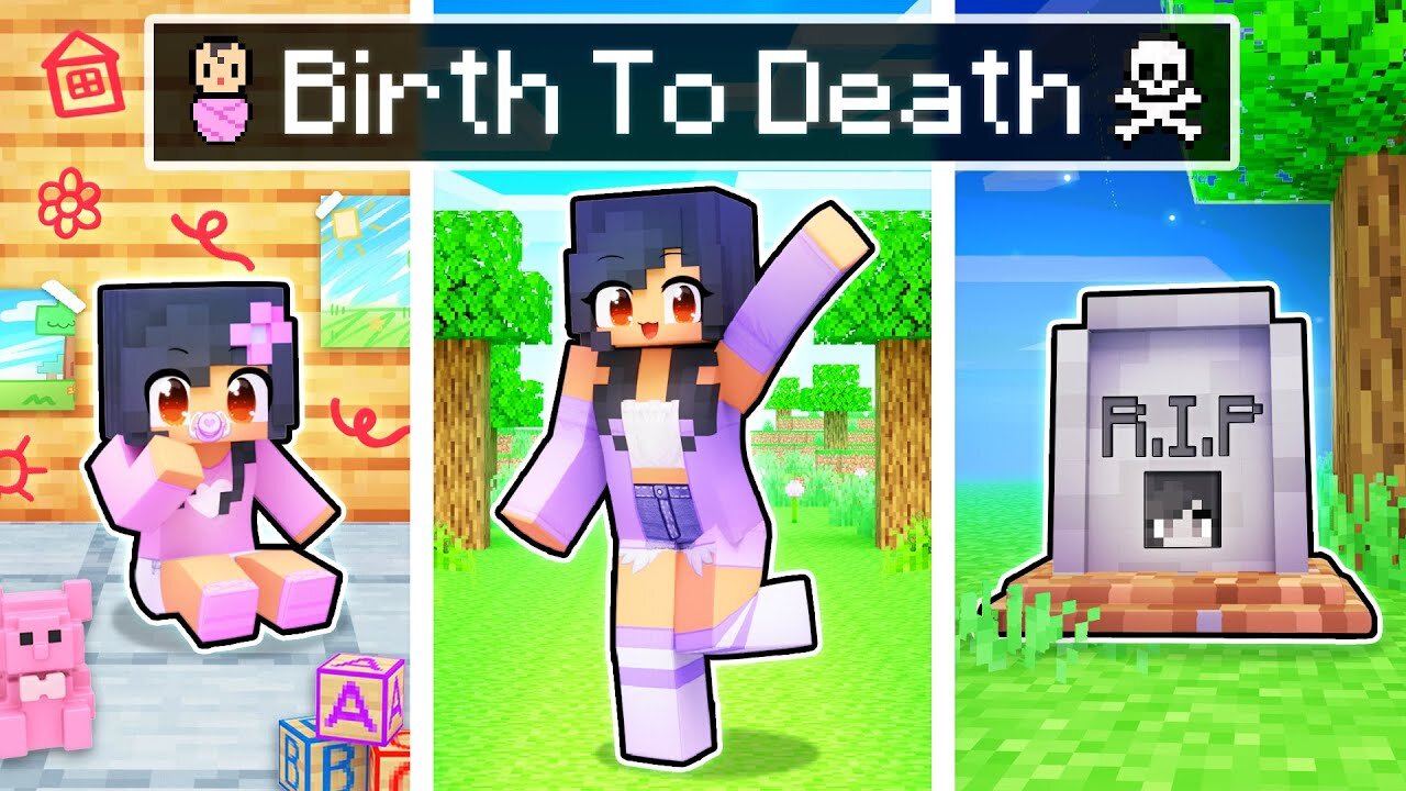 BIRTH to DEATH In Minecraft!