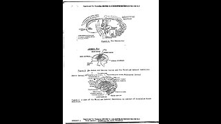 DECLASSIFIED CIA- THE MATRIX/HUMAN CONSCIOUSNESS ✨👀🤯