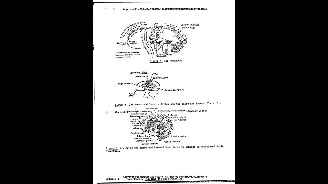 DECLASSIFIED CIA- THE MATRIX/HUMAN CONSCIOUSNESS ✨👀🤯
