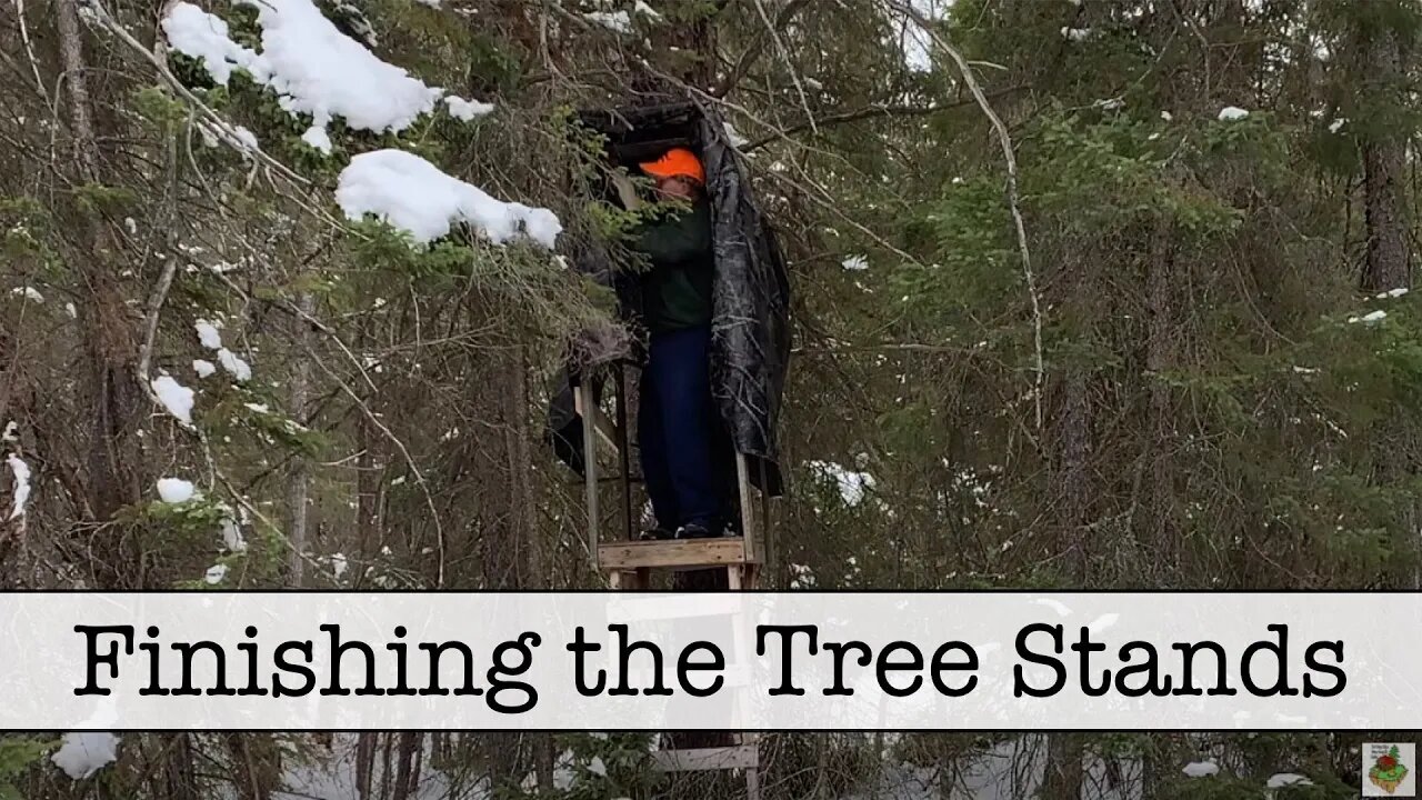Episode 23 - Finishing The Tree Stands