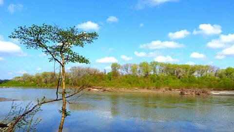 The most beautiful rivers in Russia Walk along the spring river. Chechnya