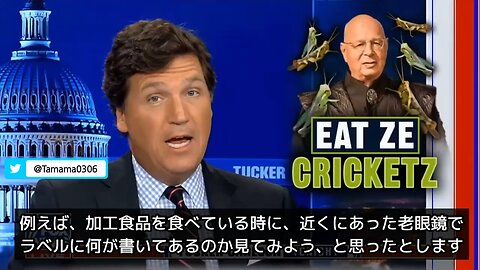 昆虫食は甲殻類アレルギーに注意