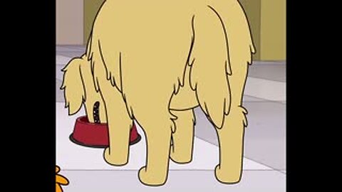 Sheila Golden Retriever's Butt