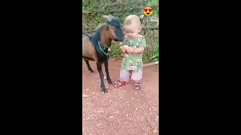 Loving animal