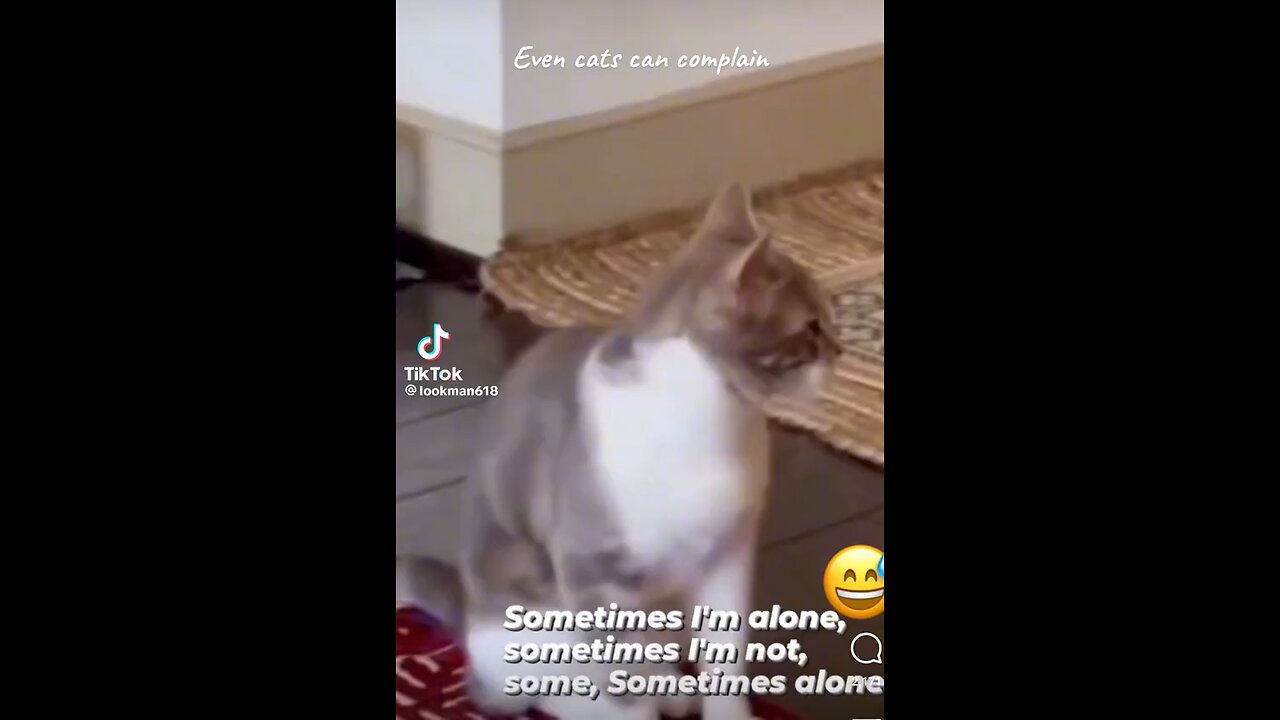 Talking cat