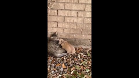 Found You!