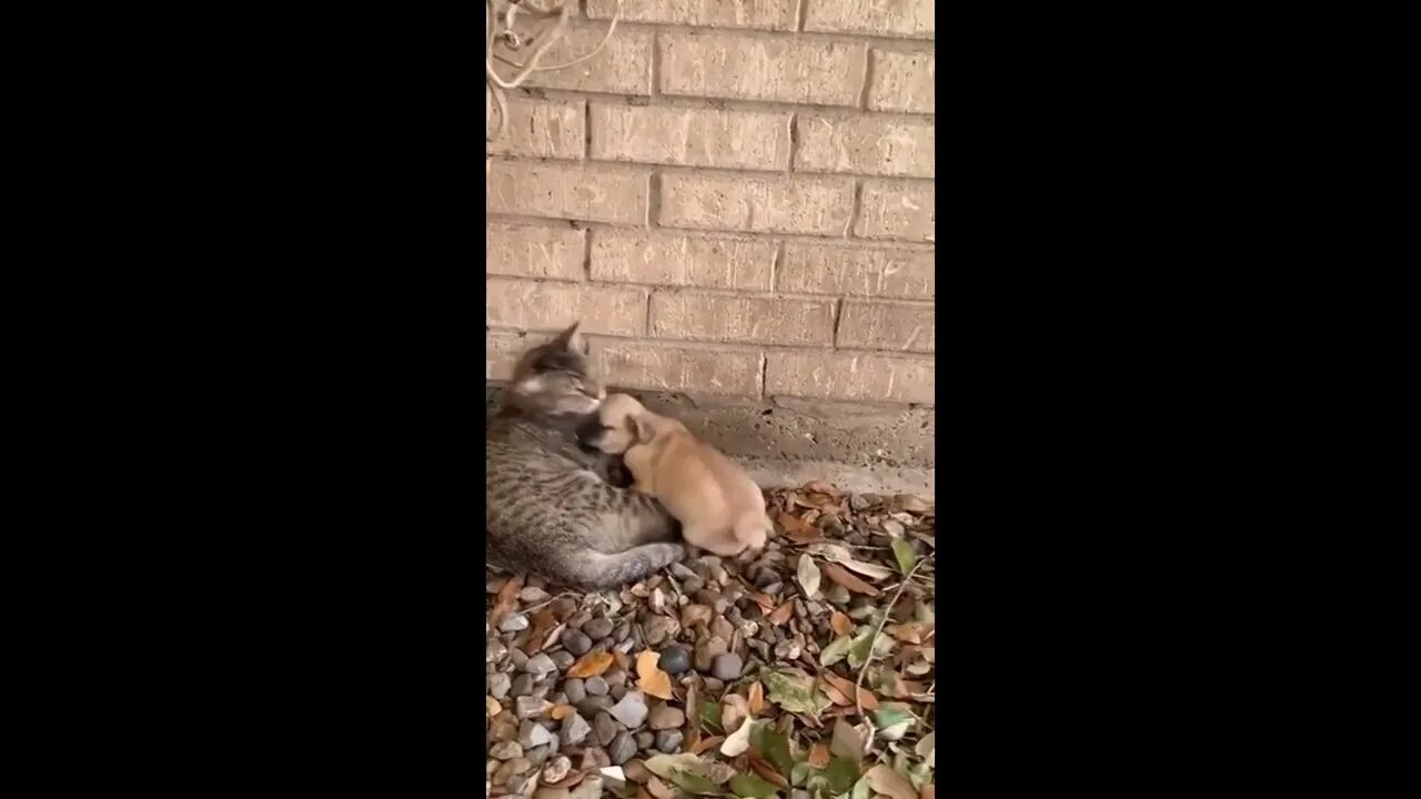 Found You!