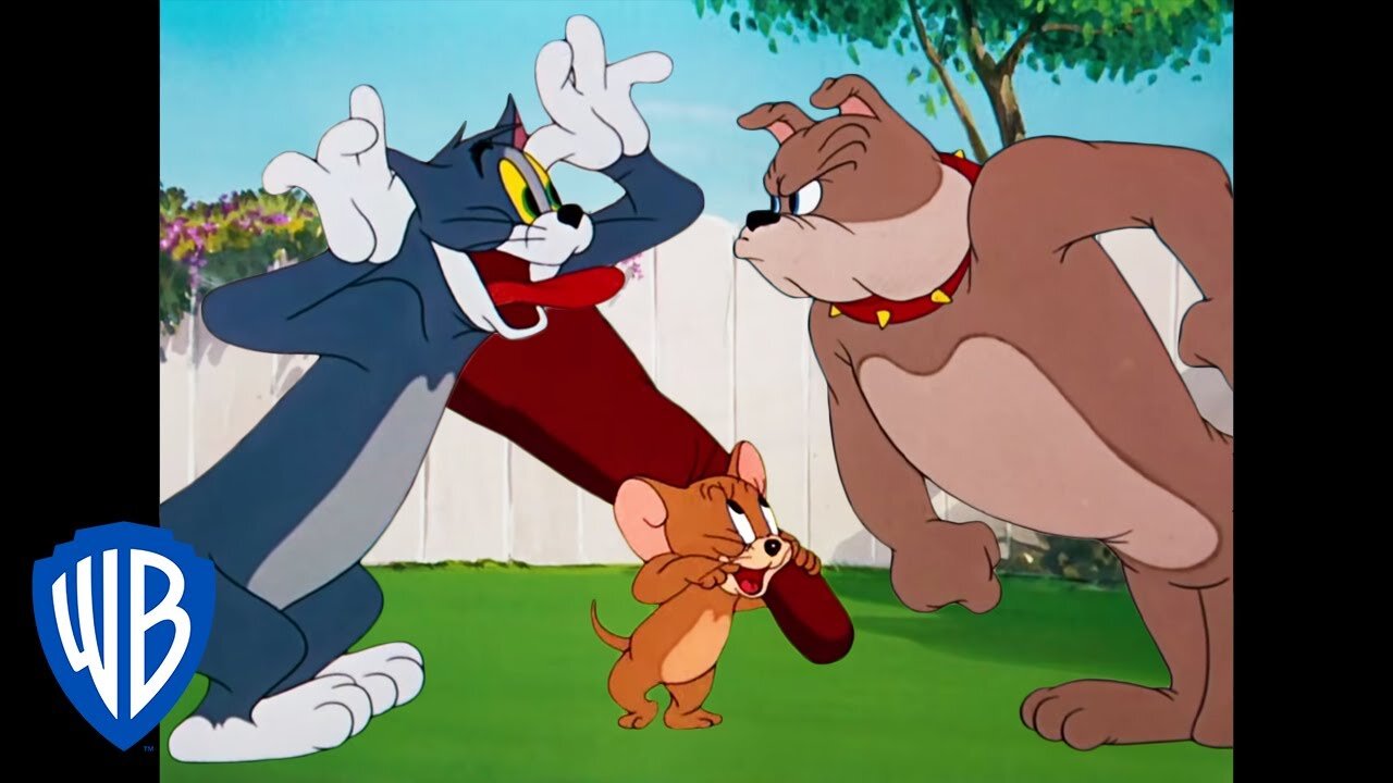 Tom and Jerry cartoon #cartoon