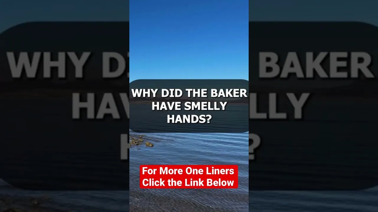 One Liners on REALarious…🤣🤣🤣