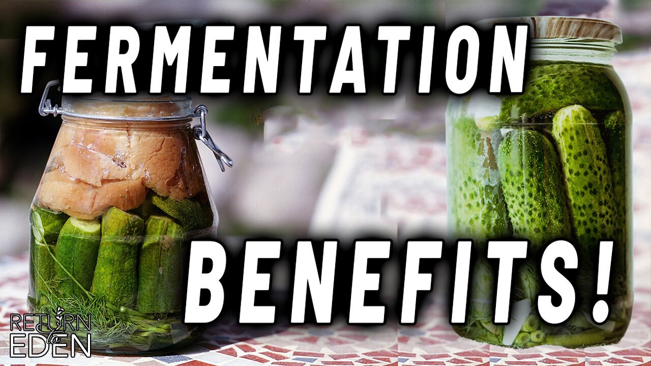 INCREDIBLE POWER OF FERMENTATION TO REVOLUTIONIZE YOUR HEALTH!