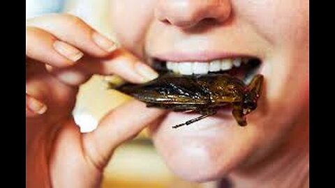 Eating cockroach