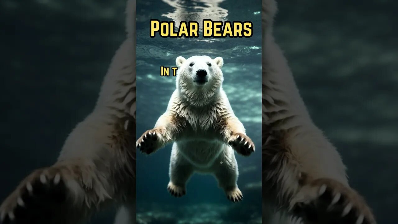 7 Facts about Polar Bears #shorts #facts #polarbear