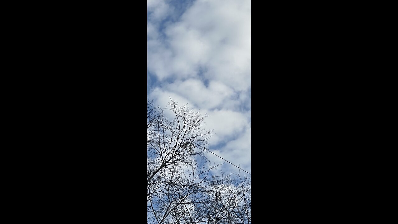 🎼🦁❤️❤️👀❤️❤️🦁🎼