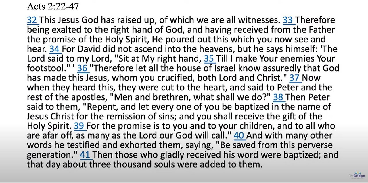 Acts 2 - What shall we do?