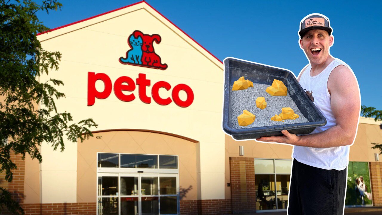 How Much Gold is in Petco Cat Litter?