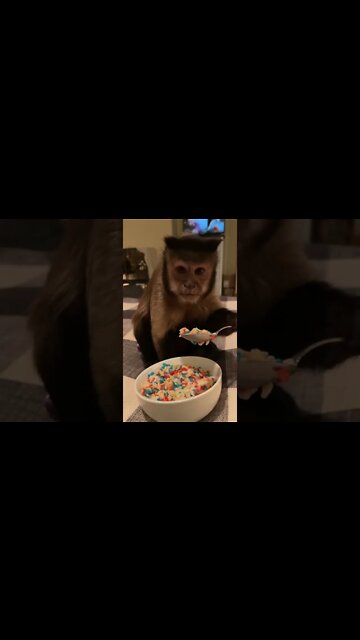 Current situation 🤦🏻‍♀️ #shorts