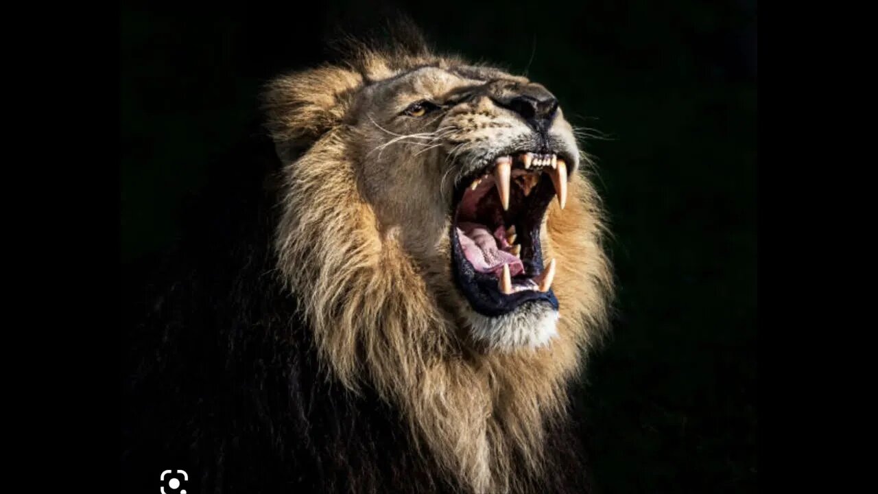 Going live to make the enemy mad .. Let the holy spriit flow, prayers for healing deliverance